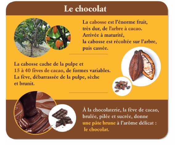 chocolat