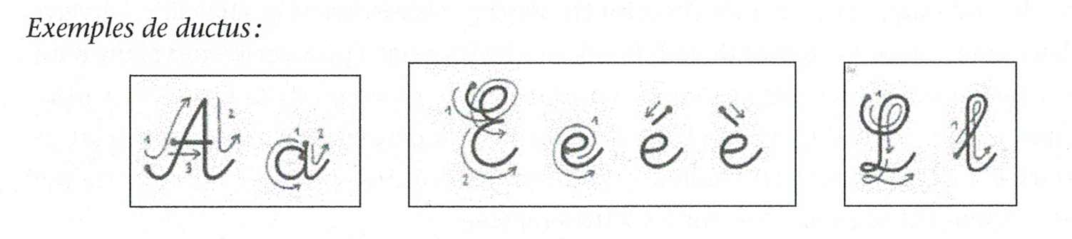 ductus